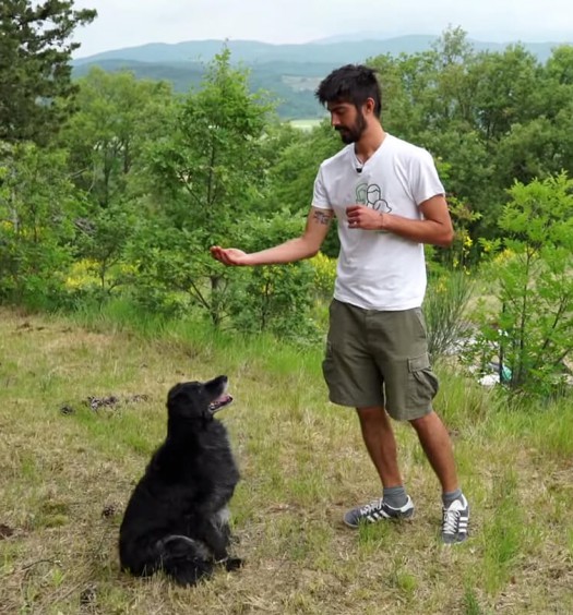 educare il cane - seduto