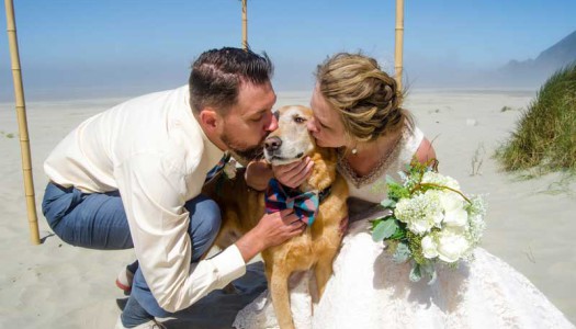 Un matrimonio speciale celebrato con il cane malato
