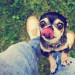 vivere con il cane