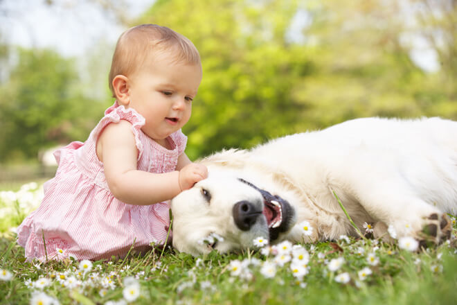 bambina gioca con il cane